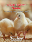 Flock Starter Free Guide